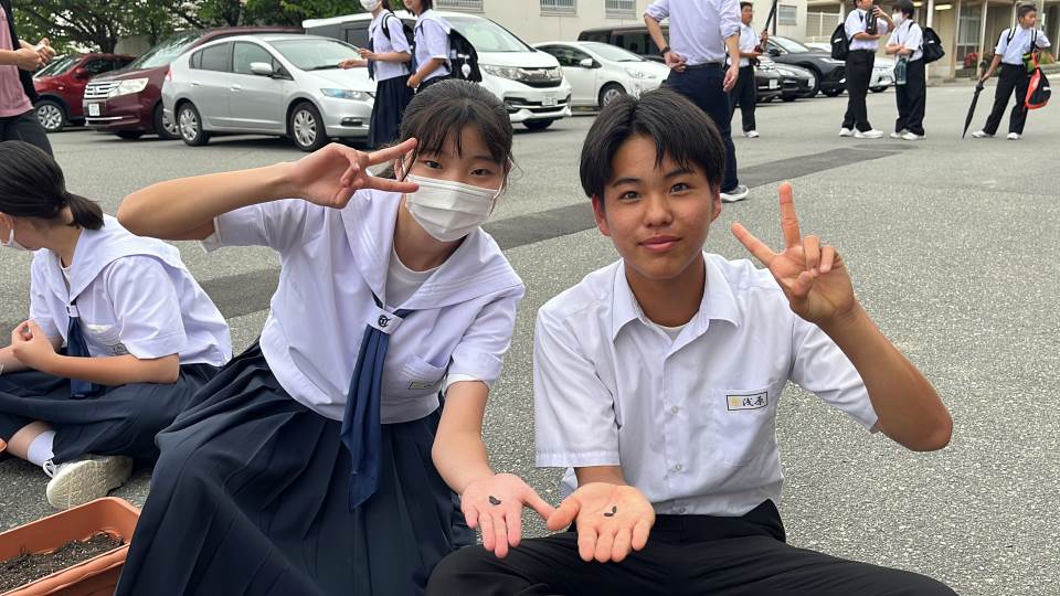 高砂市立竜山中学校 旧ブルマ☆150(J-13)寸