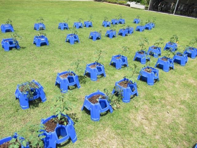 高砂市立米田西小学校トップページ